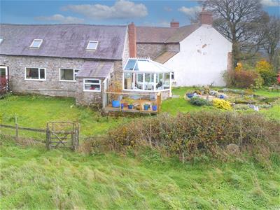 Picture 30